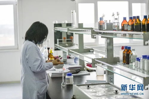 合汽生材 科技賦能飼料業，網絡技術研發引領產業升級